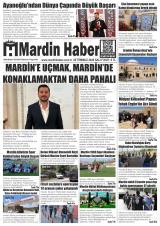 MARDİN HABER