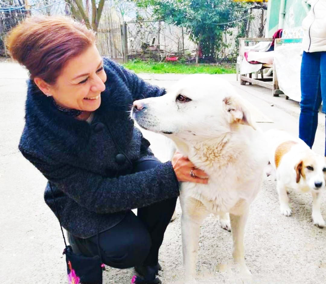 Köse Bizim Duruşumuz Bellidir